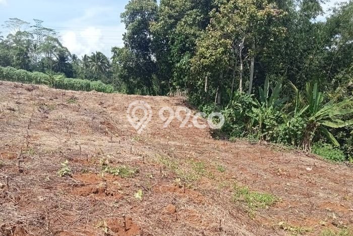 Kavling Tanah Dijual di Cikembar Sukabumi Spesifikasi 24000m2 Kavling Tanah Dijual di Cikembar Sukabumi Spesifikasi 24000m2