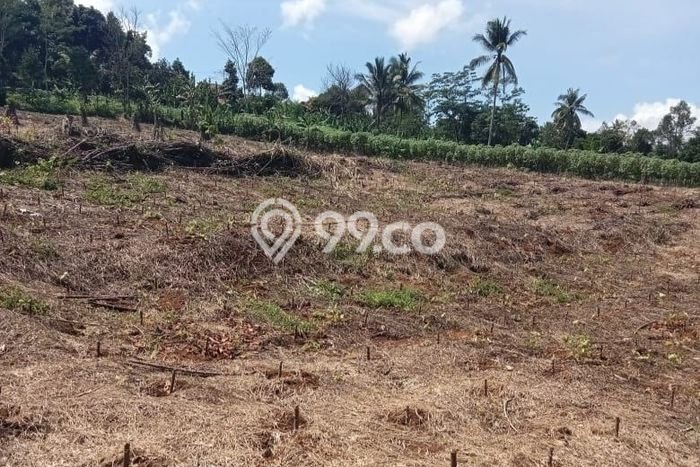 Kavling Tanah Dijual di Cikembar Sukabumi Spesifikasi 24000m2 Kavling Tanah Dijual di Cikembar Sukabumi Spesifikasi 24000m2