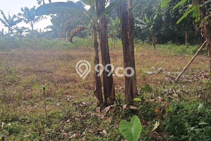 Tanah untuk Dijual Lokasi Cibadak, Sukabumi Luas 5000m2 - Tanah untuk Dijual Lokasi Cibadak, Sukabumi Luas 5000m2 -