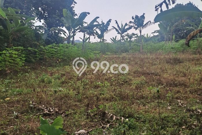 Tanah untuk Dijual Lokasi Cibadak, Sukabumi Luas 5000m2 - Tanah untuk Dijual Lokasi Cibadak, Sukabumi Luas 5000m2 -