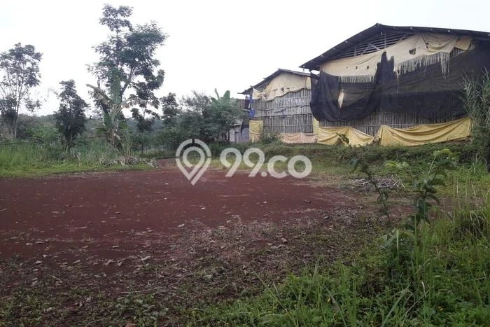 Jarang Ada! Tanah di Nagrak Punya Luas 35000m2 SHM Jarang Ada! Tanah di Nagrak Punya Luas 35000m2 SHM
