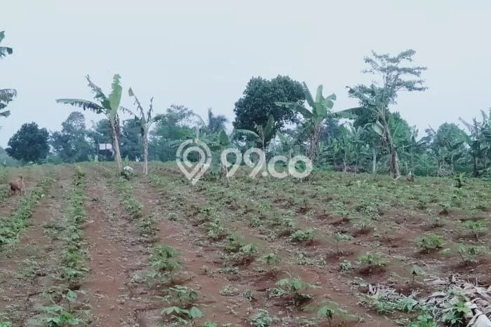 Lahan Dijual Lokasi Nagrak, Sukabumi dengan Luas Tanah 300000m2 dan Status - Lahan Dijual Lokasi Nagrak, Sukabumi dengan Luas Tanah 300000m2 dan Status -