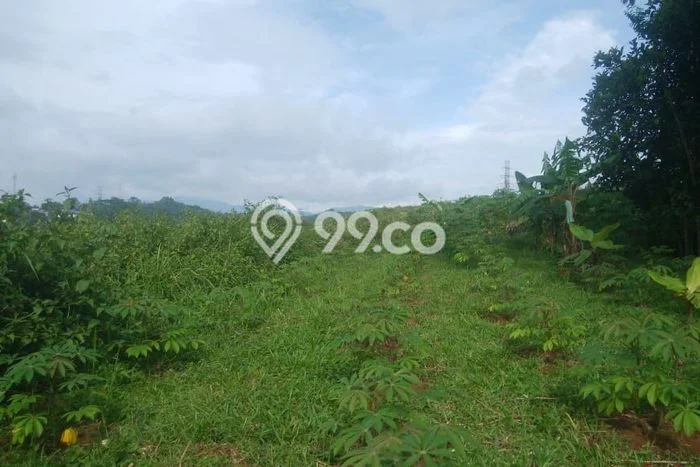 Lahan Dijual Lokasi Cibadak, Sukabumi dengan Luas Tanah 100000m2 dan Status SHM Lahan Dijual Lokasi Cibadak, Sukabumi dengan Luas Tanah 100000m2 dan Status SHM
