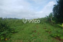 Lahan Dijual Lokasi Cibadak, Sukabumi dengan Luas Tanah 100000m2 dan Status SHM Lahan Dijual Lokasi Cibadak, Sukabumi dengan Luas Tanah 100000m2 dan Status SHM