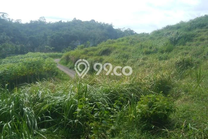 Lahan Dijual Lokasi Cibadak, Sukabumi dengan Luas Tanah 100000m2 dan Status SHM Lahan Dijual Lokasi Cibadak, Sukabumi dengan Luas Tanah 100000m2 dan Status SHM