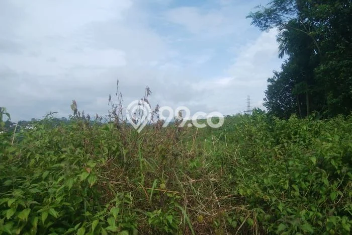 Lahan Dijual Lokasi Cibadak, Sukabumi dengan Luas Tanah 100000m2 dan Status SHM Lahan Dijual Lokasi Cibadak, Sukabumi dengan Luas Tanah 100000m2 dan Status SHM