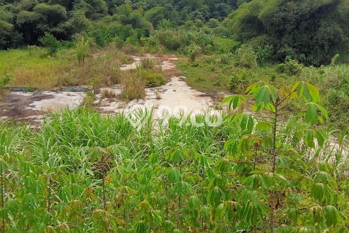 Dijual Tanah Lokasi Prima di Cibadak, Luas 120000m², Dekat Cibadak, Sukabumi, Sukabumi Dijual Tanah Lokasi Prima di Cibadak, Luas 120000m², Dekat Cibadak, Sukabumi, Sukabumi