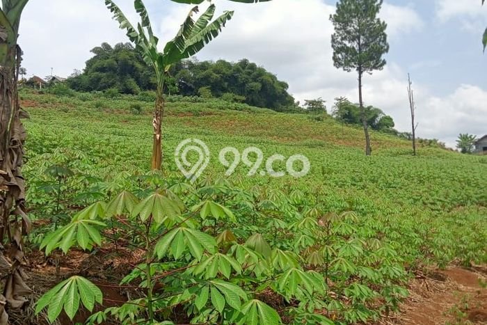Dijual Tanah Lokasi Prima di Cibadak, Luas 120000m², Dekat Cibadak, Sukabumi, Sukabumi Dijual Tanah Lokasi Prima di Cibadak, Luas 120000m², Dekat Cibadak, Sukabumi, Sukabumi
