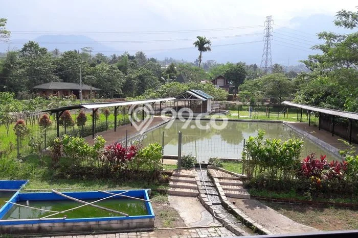 Komersial Favorit Dijual di Cicurug Sukabumi Kawasan Pusat Bisnis Komersial Favorit Dijual di Cicurug Sukabumi Kawasan Pusat Bisnis