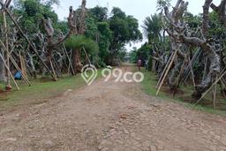 Tanah Kosong Dijual di Bogor dengan Area 54000m2 Tanah Kosong Dijual di Bogor dengan Area 54000m2