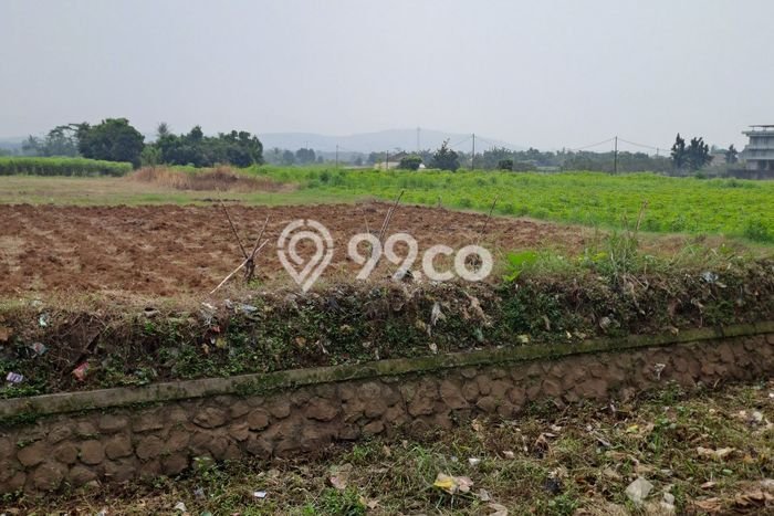 Tanah Kavling untuk Dijual di Ranca Bungur Bogor 90000m2 Tanah Kavling untuk Dijual di Ranca Bungur Bogor 90000m2