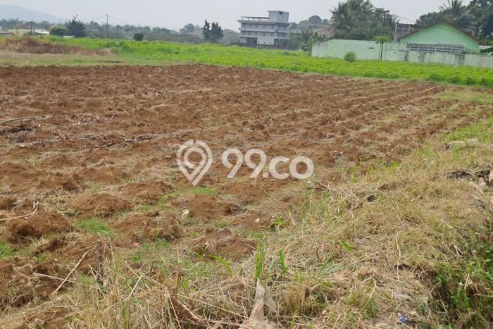 Tanah Kavling untuk Dijual di Ranca Bungur Bogor 90000m2 Tanah Kavling untuk Dijual di Ranca Bungur Bogor 90000m2