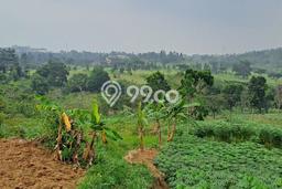 Tanah Dijual Lokasi Sukaraja, Bogor Luas 55000m2 Legalitas Aman Tanah Dijual Lokasi Sukaraja, Bogor Luas 55000m2 Legalitas Aman
