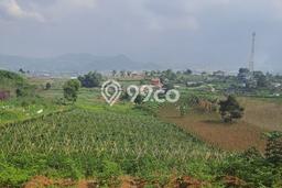 Tanah di Sukaresmi, Cianjur Luas 220000m2 Dijual Segera Tanah di Sukaresmi, Cianjur Luas 220000m2 Dijual Segera