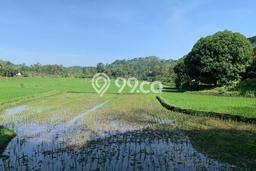 Dijual Tanah di Cilaku Cianjur Luas 270000m2 SHM Dijual Tanah di Cilaku Cianjur Luas 270000m2 SHM