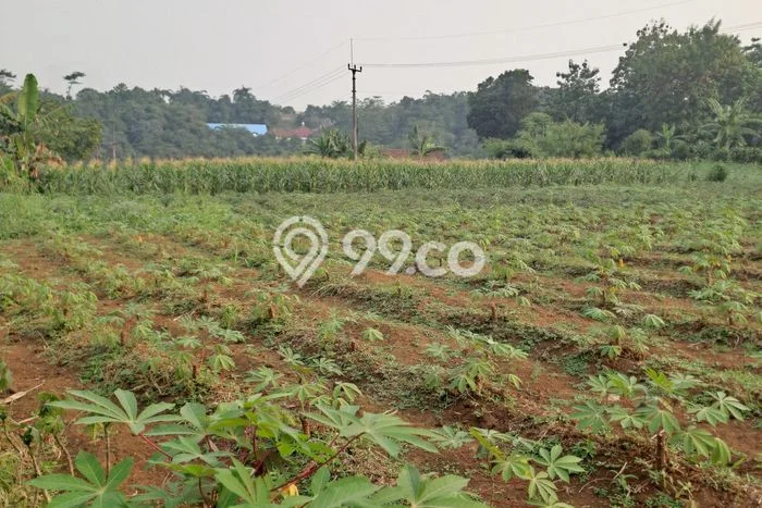 Lahan Strategis di Ranca Bungur Dijual dengan Luas 25000m2 Lahan Strategis di Ranca Bungur Dijual dengan Luas 25000m2