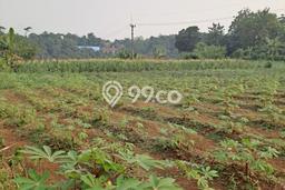 Lahan Strategis di Ranca Bungur Dijual dengan Luas 25000m2 Lahan Strategis di Ranca Bungur Dijual dengan Luas 25000m2