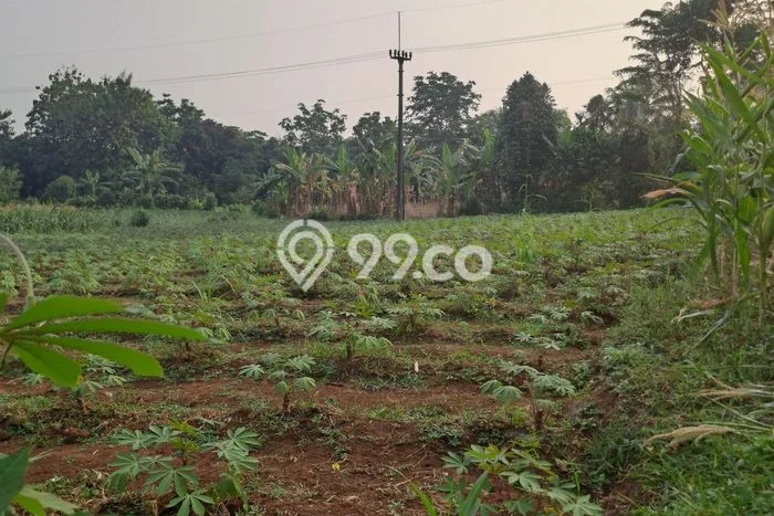 Lahan Strategis di Ranca Bungur Dijual dengan Luas 25000m2 Lahan Strategis di Ranca Bungur Dijual dengan Luas 25000m2