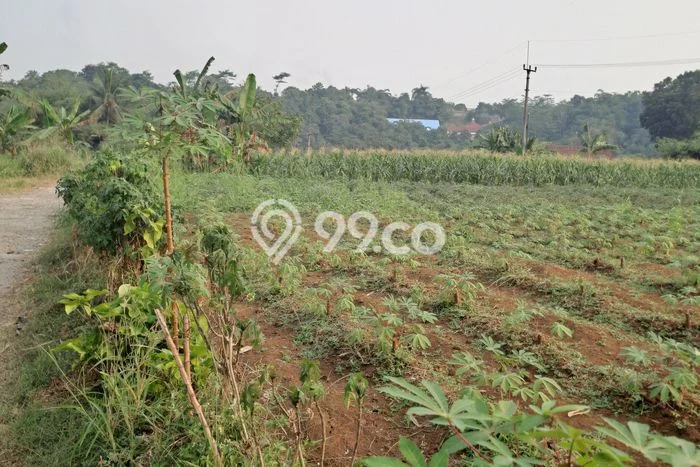 Lahan Strategis di Ranca Bungur Dijual dengan Luas 25000m2 Lahan Strategis di Ranca Bungur Dijual dengan Luas 25000m2