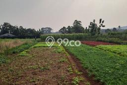 Tanah Komersial Dijual di Kemang Bogor 50000m2 Tanah Komersial Dijual di Kemang Bogor 50000m2