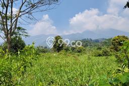 Kavling Tanah di Tamansari Dijual Luas 100000m2 Legalitas SHM Kavling Tanah di Tamansari Dijual Luas 100000m2 Legalitas SHM