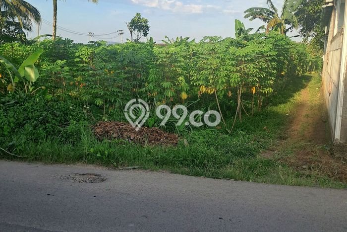 Lahan untuk Dijual di Ranca Bungur Bogor Luas 600m2 Lahan untuk Dijual di Ranca Bungur Bogor Luas 600m2
