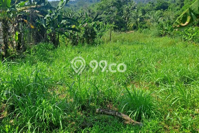 Kavling Tanah Dijual di Rumpin, Bogor, Luas 1400m2 Area Strategis Kavling Tanah Dijual di Rumpin, Bogor, Luas 1400m2 Area Strategis