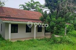 Tanah di Kemang, Bogor Luas 3000m2 Dijual Segera Tanah di Kemang, Bogor Luas 3000m2 Dijual Segera