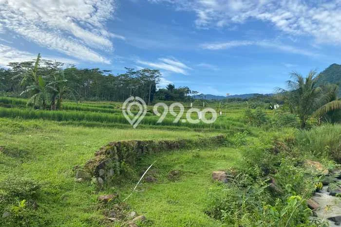Lahan Strategis di Sukamakmur Dijual dengan Luas 37000m2 Lahan Strategis di Sukamakmur Dijual dengan Luas 37000m2