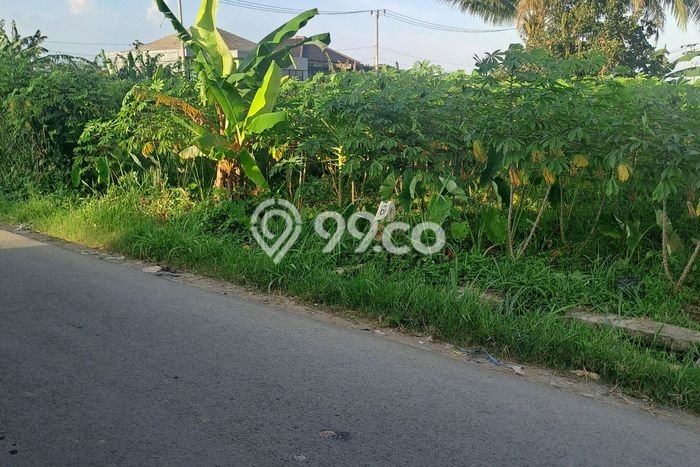 Lahan untuk Dijual di Ranca Bungur Bogor Luas 600m2 Lahan untuk Dijual di Ranca Bungur Bogor Luas 600m2