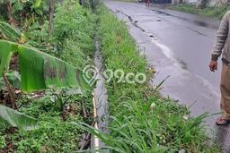 Untuk Dijual Tanah di Rumpin Bogor Luas 1000m2 SHM Untuk Dijual Tanah di Rumpin Bogor Luas 1000m2 SHM