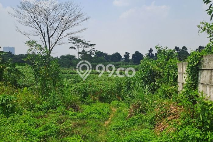 Tanah Dijual Area Strategis di Sentul City Bogor 16000m2 Tanah Dijual Area Strategis di Sentul City Bogor 16000m2