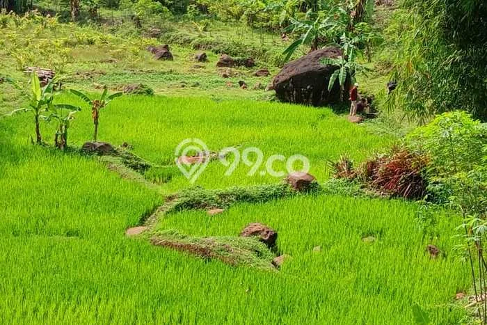 Jarang Ada! Tanah di Parakan Salak Punya Luas 14000m2 - Jarang Ada! Tanah di Parakan Salak Punya Luas 14000m2 -