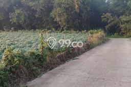 Jual Tanah di Rumpin, Luas 2800m2m², Lokasi Strategis, Kontur Datar Jual Tanah di Rumpin, Luas 2800m2m², Lokasi Strategis, Kontur Datar