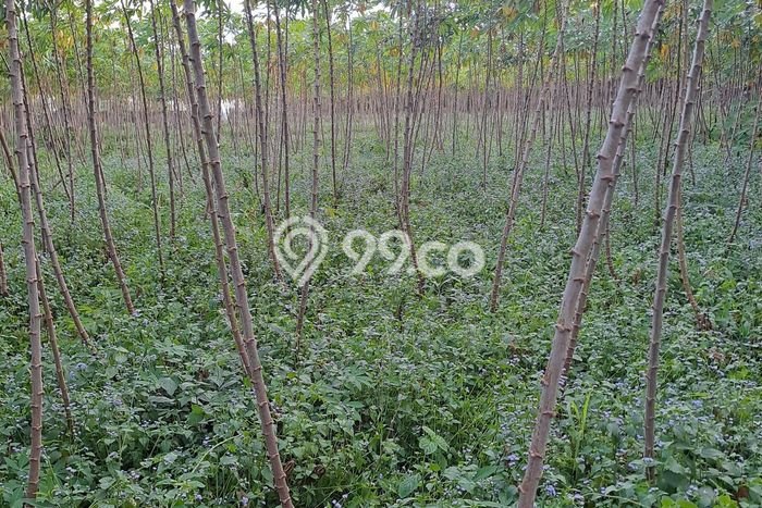 Dijual Tanah Lokasi Sentul City, Bogor Seluas 18000m2 Dijual Tanah Lokasi Sentul City, Bogor Seluas 18000m2