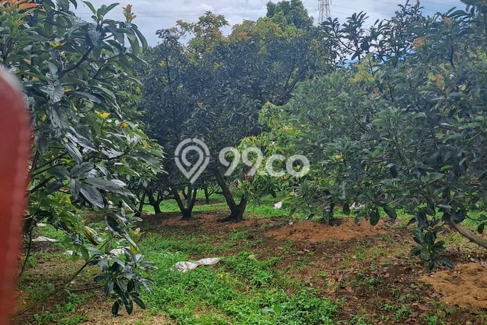 Kavling Tanah Dijual di Megamendung Bogor Spesifikasi 6000m2 Kavling Tanah Dijual di Megamendung Bogor Spesifikasi 6000m2