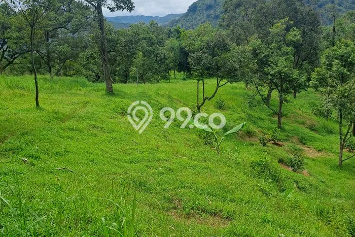 Jarang Ada! Tanah di Cigudeg Punya Luas 5800m2 SHM Jarang Ada! Tanah di Cigudeg Punya Luas 5800m2 SHM