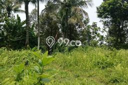 Tanah Dijual Lokasi Pamijahan Bogor SHM Tanah Dijual Lokasi Pamijahan Bogor SHM