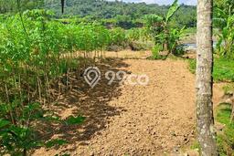 Lahan Kosong Dijual di Bogor dengan Area 3500m2 Lahan Kosong Dijual di Bogor dengan Area 3500m2