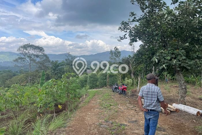Tanah untuk Dijual Lokasi Sukamakmur, Bogor Luas 3500m2 SHM Tanah untuk Dijual Lokasi Sukamakmur, Bogor Luas 3500m2 SHM