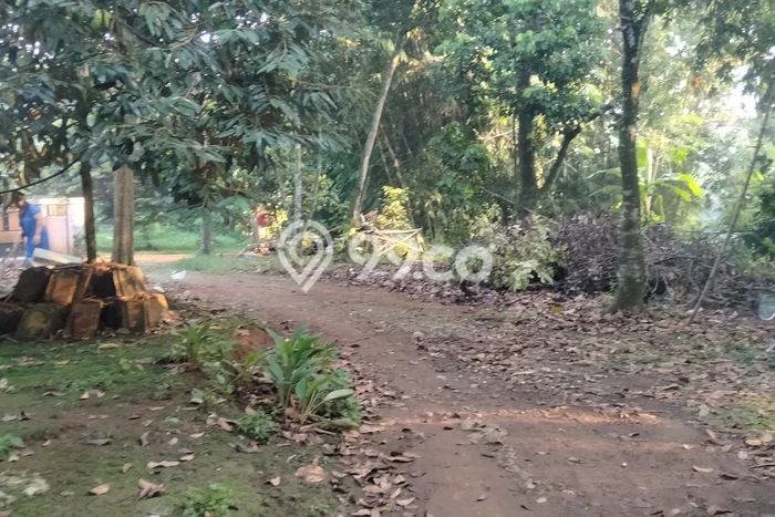 Lahan Dijual Lokasi Rumpin, Bogor dengan Luas Tanah 2082m2 dan Status - Lahan Dijual Lokasi Rumpin, Bogor dengan Luas Tanah 2082m2 dan Status -