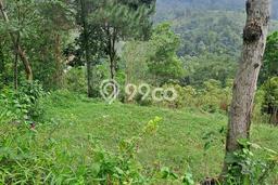Tanah Dijual di Bogor Seluas 20000m2 Strategis Tanah Dijual di Bogor Seluas 20000m2 Strategis