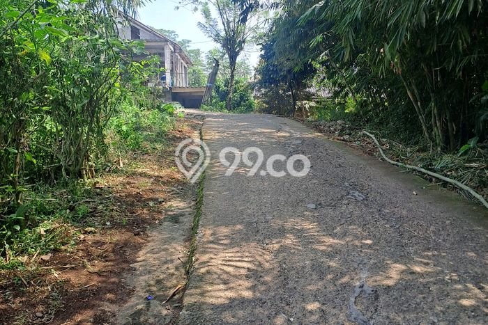 Tanah Kawasan Rumpin, Luas 1200m², Area Premium, Cocok untuk Properti Tanah Kawasan Rumpin, Luas 1200m², Area Premium, Cocok untuk Properti