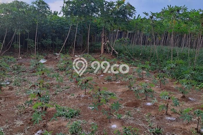 Dijual Tanah Lokasi Sentul City, Bogor Seluas 18000m2 Dijual Tanah Lokasi Sentul City, Bogor Seluas 18000m2