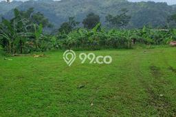 Tanah Dijual Lokasi Babakan Madang, Bogor Luas 3000m2 Legalitas Aman Tanah Dijual Lokasi Babakan Madang, Bogor Luas 3000m2 Legalitas Aman