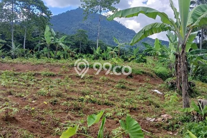 Tanah Strategis di Parakan Salak, Luas 4750m2m², Akses Parakan Salak, Sukabumi, Sukabumi Tanah Strategis di Parakan Salak, Luas 4750m2m², Akses Parakan Salak, Sukabumi, Sukabumi