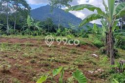 Tanah Strategis di Parakan Salak, Luas 4750m2m², Akses Parakan Salak, Sukabumi, Sukabumi Tanah Strategis di Parakan Salak, Luas 4750m2m², Akses Parakan Salak, Sukabumi, Sukabumi