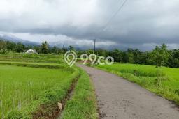 Dijual Tanah di Cidahu Sukabumi Luas 7000m2 - Dijual Tanah di Cidahu Sukabumi Luas 7000m2 -