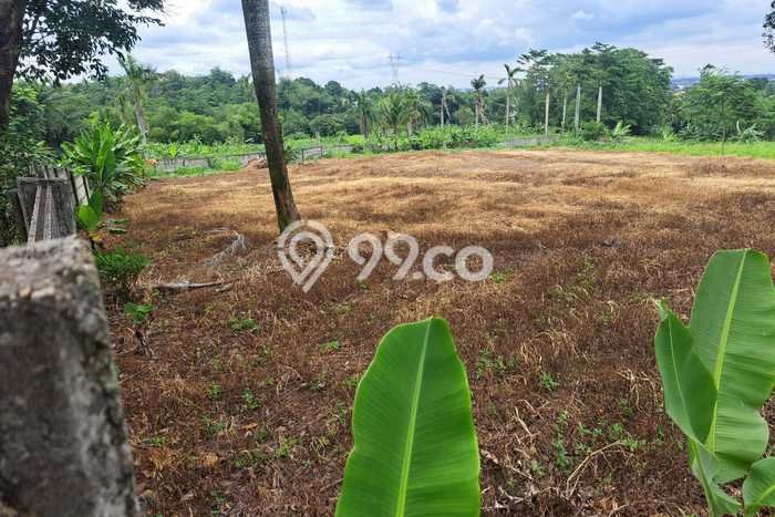 Tanah Kavling untuk Dijual di Cibinong Bogor 30000m2 Tanah Kavling untuk Dijual di Cibinong Bogor 30000m2
