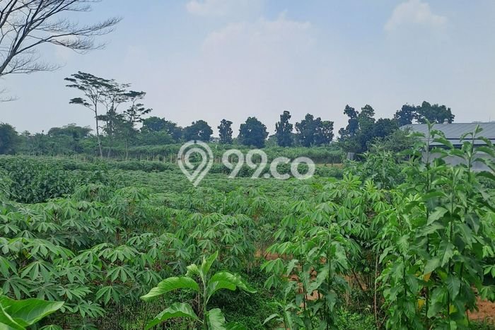 Tanah Dijual Area Strategis di Sentul City Bogor 16000m2 Tanah Dijual Area Strategis di Sentul City Bogor 16000m2
